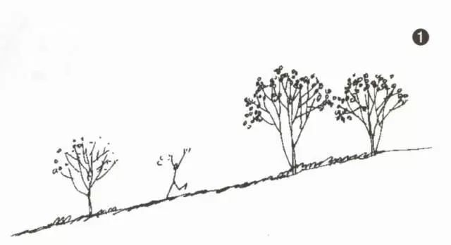 在斜面上建造住宅的方法